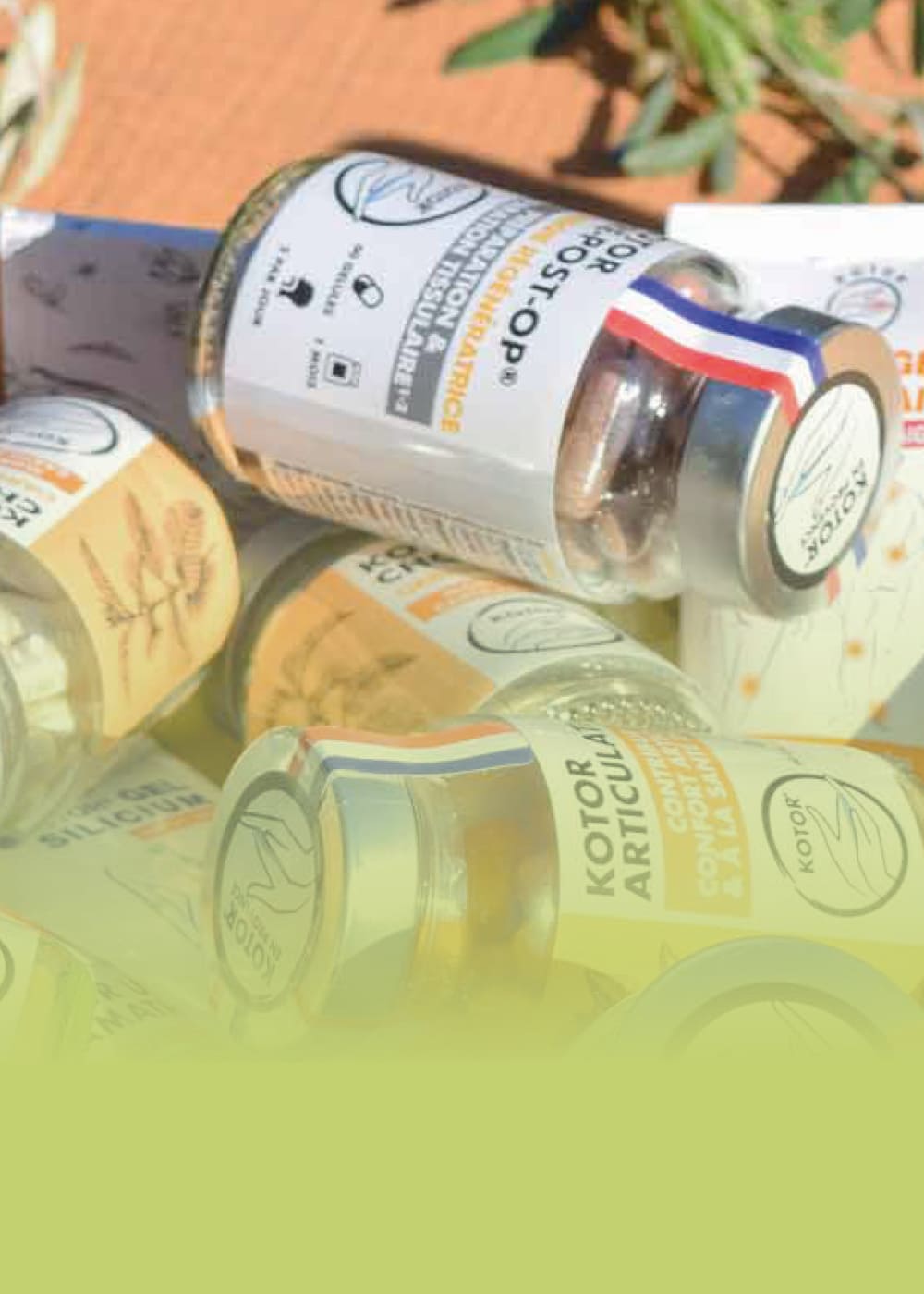 Kotor Pharma